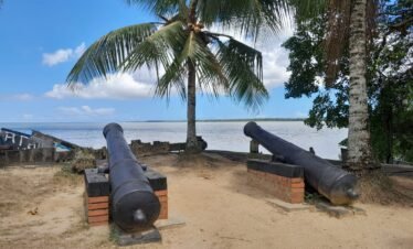 Suriname 3 days/2 nights Package Tour