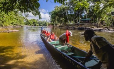 Suriname 5 days/4 nights Package Tour