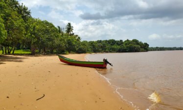 Essequibo River Tour