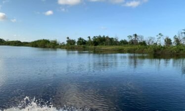 Mahaica river tour